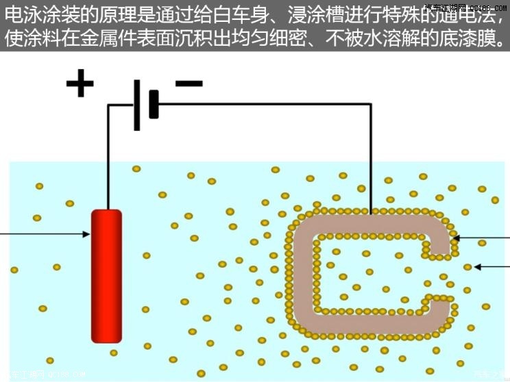环境可持续性：共建绿色未来，守护地球家园